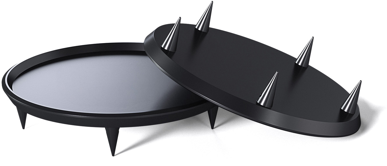 GAIA Neo Carpet Disks